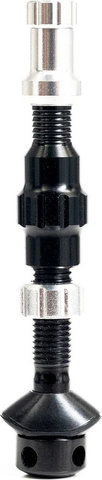 NoTubes Kit de couleur de valve tubeless - argenté | Valve Presta (SV)