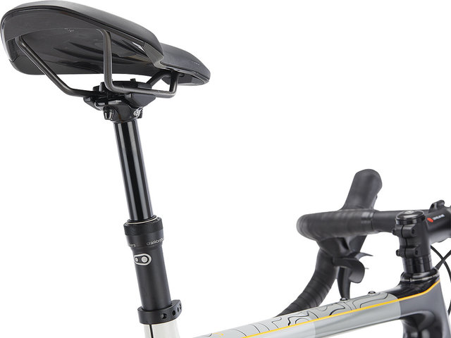 OPEN Vélo de Gravel NEW U.P. Limited Continental Anniversary Edition - continental limited edition/28"/M