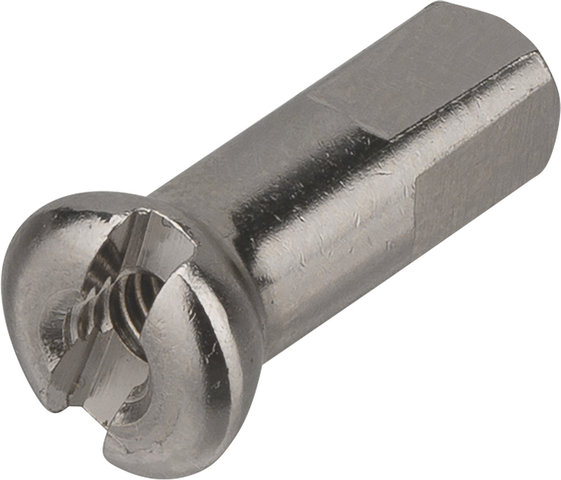 DT Swiss Cabecillas de latón Pro Head 2,0 mm - 100 unidades - plata