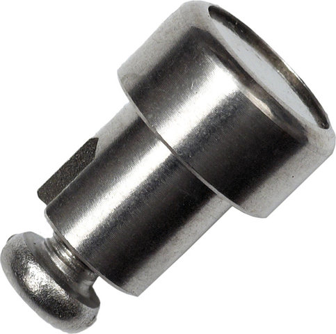 Bosch eBike System 2 Spoke magnet - silver