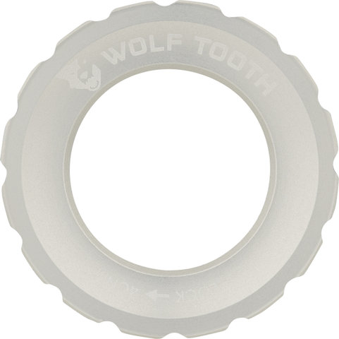 Wolf Tooth Components Anillo de bloqueo Center Lock - silver