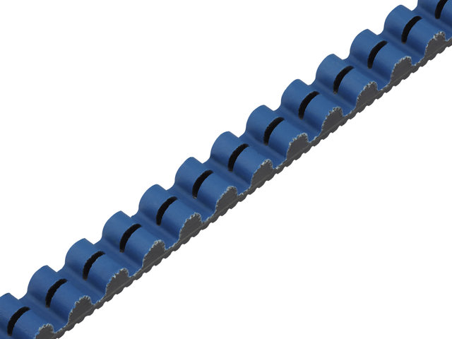 Gates CDX Belt - black-blue/1265 mm