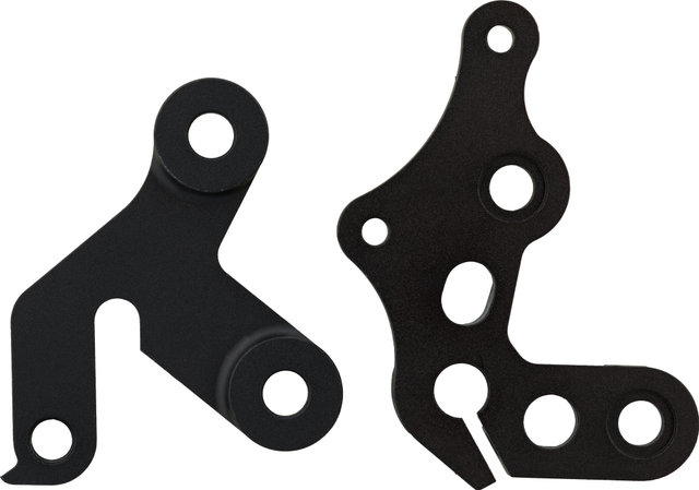 Santa Cruz Schaltauge für V10 - universal/Typ 3