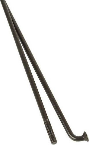 DT Swiss Champion black 2.0 296 mm J-bend spokes - black | 296 mm