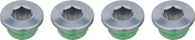 SRAM Vis de Plateau 1vit. pour XX1 / X01 / X1 / NX / GX1 / 94 mm/104 mm - grey