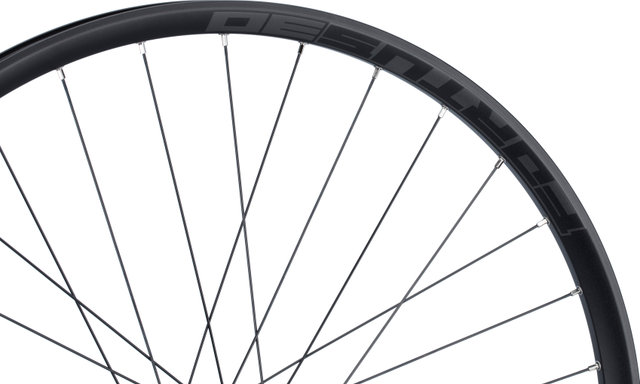 Hope Juego de ruedas Pro 4 + Fortus 30 Disc 6 agujeros 29" Boost - silver black | SRAM XD | Boost | 148 mm | 110 mm | Boost | 29" | 110 mm | SRAM XD | 110 mm | 148 mm