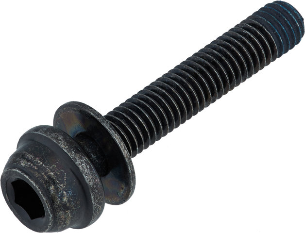 Shimano Vis de Fixation Arr. Type C2 pour Flat Mount BR-R8170 / BR-R7170 - noir/20 mm