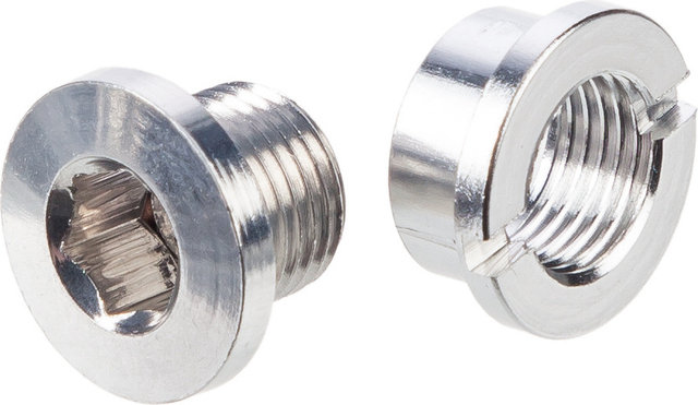 Problem Solvers Chainring Bolts for Singlespeed - silver