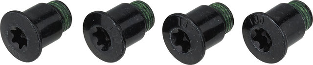 SRAM Chainring Bolts for Rival (D1) - black