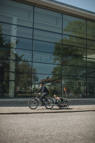 Thule Bexey L Hundeanhänger - hazy green | 20"