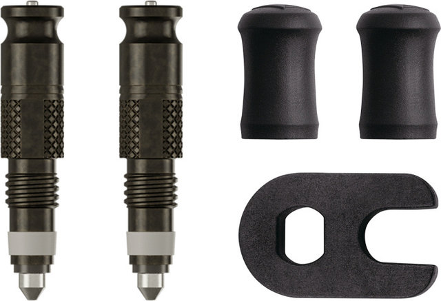 Lezyne Noyaux de valves CLIK - noir