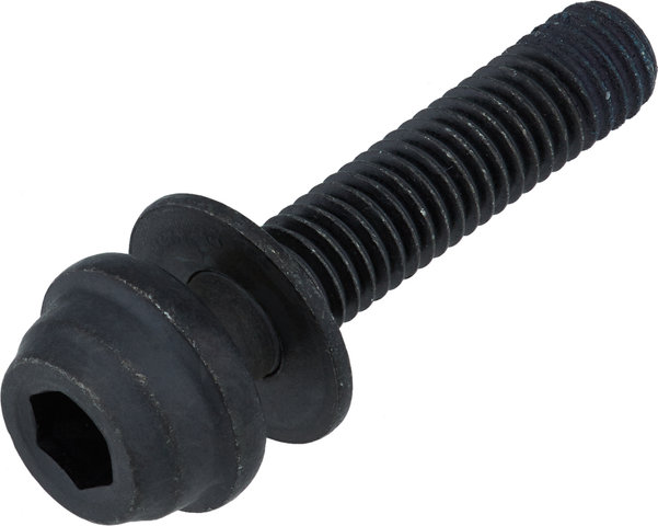 Shimano Vis de Fixation Arr. Type C2 pour Flat Mount BR-R8170 / BR-R7170 - noir/15 mm