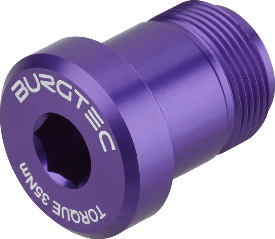 Burgtec SRAM T-Type Derailleur Bolt – Bolt 2 - purple pain