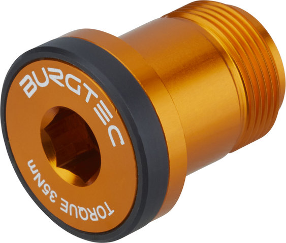 Burgtec Sram T-Type Derailleur Bolt - Bolt 1 - iron bro orange