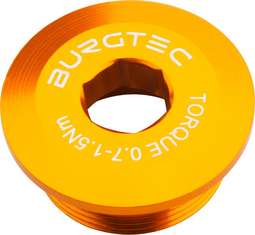 Burgtec Kurbelarmschraube für Shimano Hollowtech II/E-Bike Motor - iron bro orange