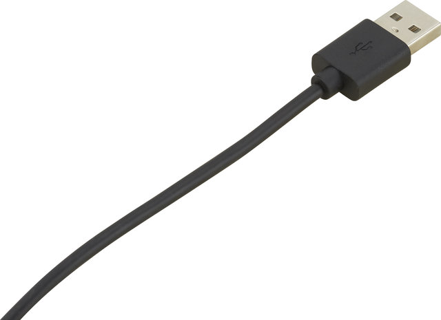 Lupine "Longrunner" USB-A to USB-C Cable for SL Mono - black