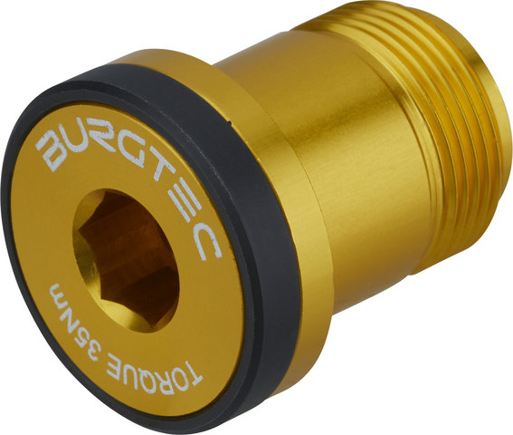 Burgtec Sram T-Type Derailleur Bolt - Bolt 1 - bullion gold