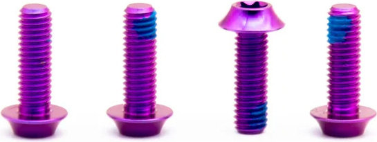 OAK Components Juego de tornillos para portabidones M5x15 Titanio - purple