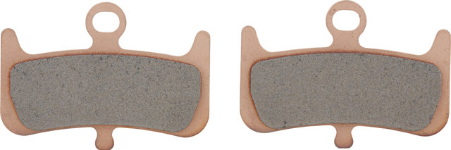 Hayes Pastillas de freno Disc para Dominion A4 - universal/Sinterizado