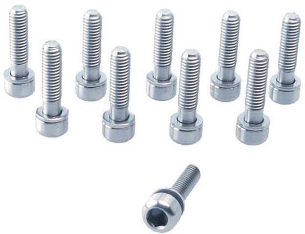 Procraft M5 Titanium Bolt - titanium/M5x19