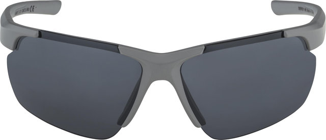 Alpina Defey HR Sports Glasses - moon-grey matt | black