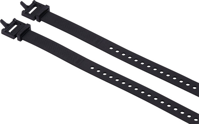 BBB CargoStraps Befestigungsgurte - schwarz/L