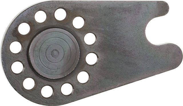 Rohloff Achsplatte TS OEM2 - universal