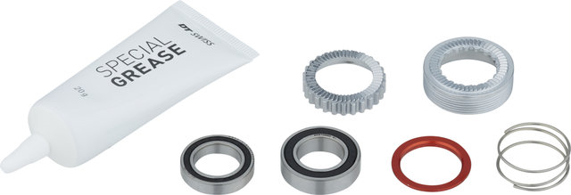 DT Swiss Kit de mantenimiento para rueda libres 180 EXP - universal