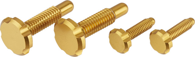 OAK Components CPA/EPA Screws for Root-Lever Pro - gold