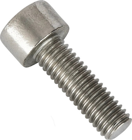 Burgtec Tornillo para abrazadera de sillín - silver