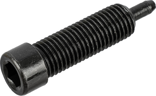 Topeak Husillo de remache para Alien 2/ Alien 3/ Alien S/ Super Chain Tool - universal