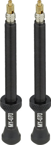 Fulcrum Road Tubelessventil-Kit für symmetrische Felgen - universal/SV 55 mm