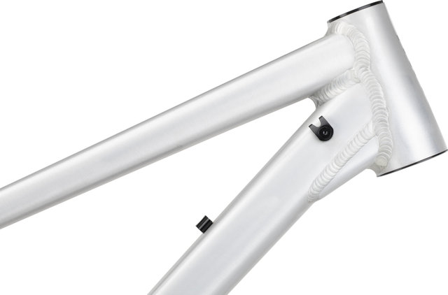 RAAW Mountain Bikes Jibb 29" Rahmenkit mit Essentials Kit - raw matt/135 mm/M/12 mm Steckachse