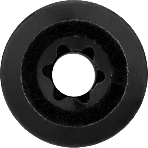 SRAM Chainring Bolts for 4-Arm E-MTB Bosch / Fazua - universal