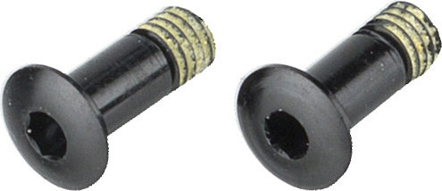 Campagnolo Befestigungsschrauben für Schalträdchen Super Record ab Modell 2011 - universal