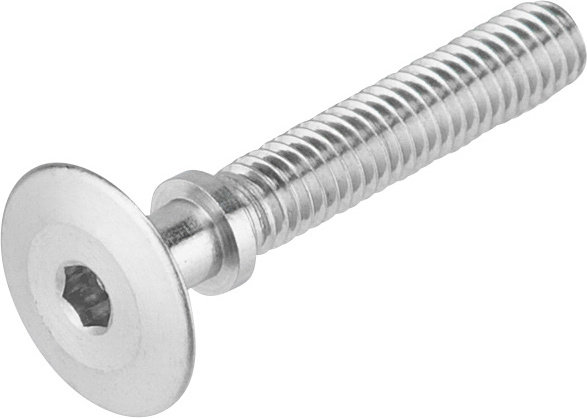 SPURCYCLE Fastening Bolt - raw