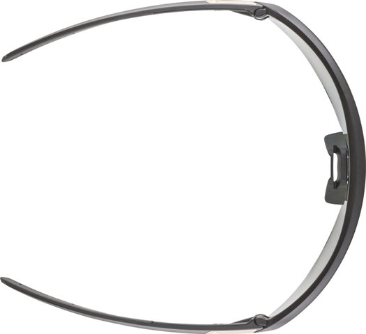 Alpina Turbo Pro QV Sports Glasses - black matte | rainbow mirror