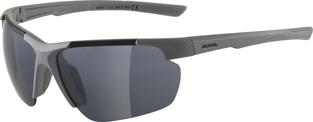 Alpina Defey HR Sports Glasses - moon-grey matt | black