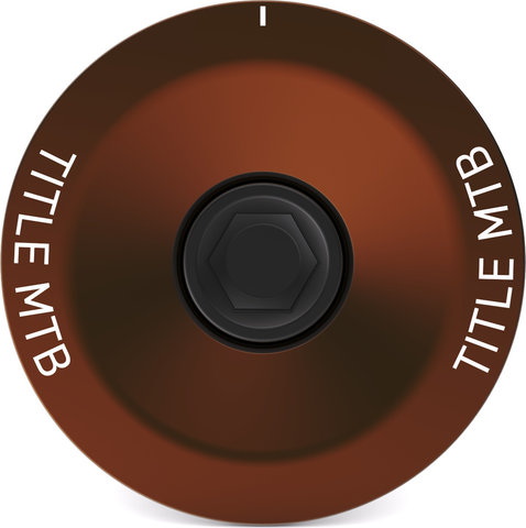Title MTB Ahead cap - bronze