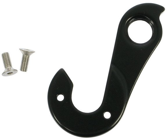 Salsa Derailleur Hanger 257 for Salsa Frames - silver/type 1