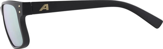 Alpina Lunettes de Sport Kosmic - black gold matt | marron