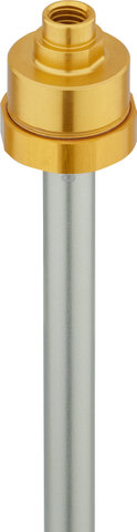 RockShox Kit de actualización DebonAir+ para ZEB A1+ desde Modelo 2021 - universal/170 mm