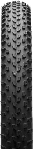 Schwalbe Cubierta plegable Racing Ray Performance ADDIX 29" - negro/29 /57 /2.25 /57-622
