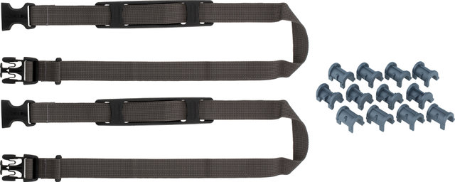 ORTLIEB Back-Roller Plus CR Fahrradtaschen - salsa-chili/40 Liter