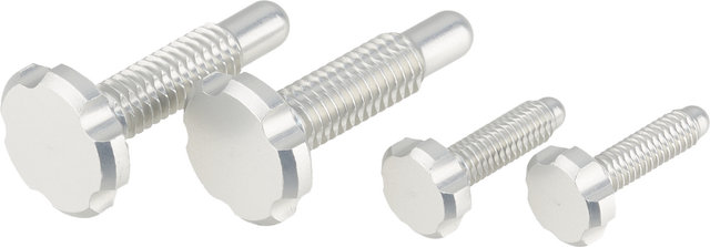 OAK Components CPA/EPA Screws for Root-Lever Pro - raw