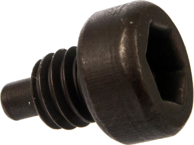 ParkTool Ersatzstift 1501 für HCW-4 Schlüssel - silber