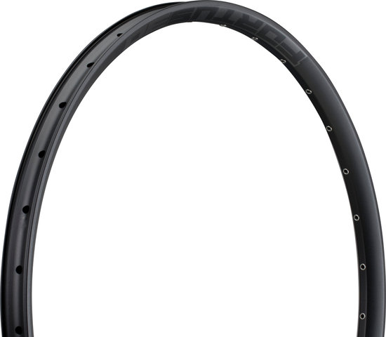 Hope Fortus 30 Disc 29" Felge - black/32/29"