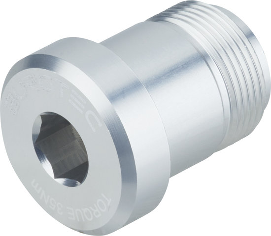 Burgtec SRAM T-Type Derailleur Bolt – Bolt 2 - rhodium silver