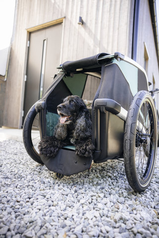 Thule Bexey L Hundeanhänger - hazy green | 20"