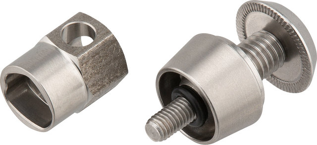Pitlock Lock Set 08 for Removable Dropouts - silver